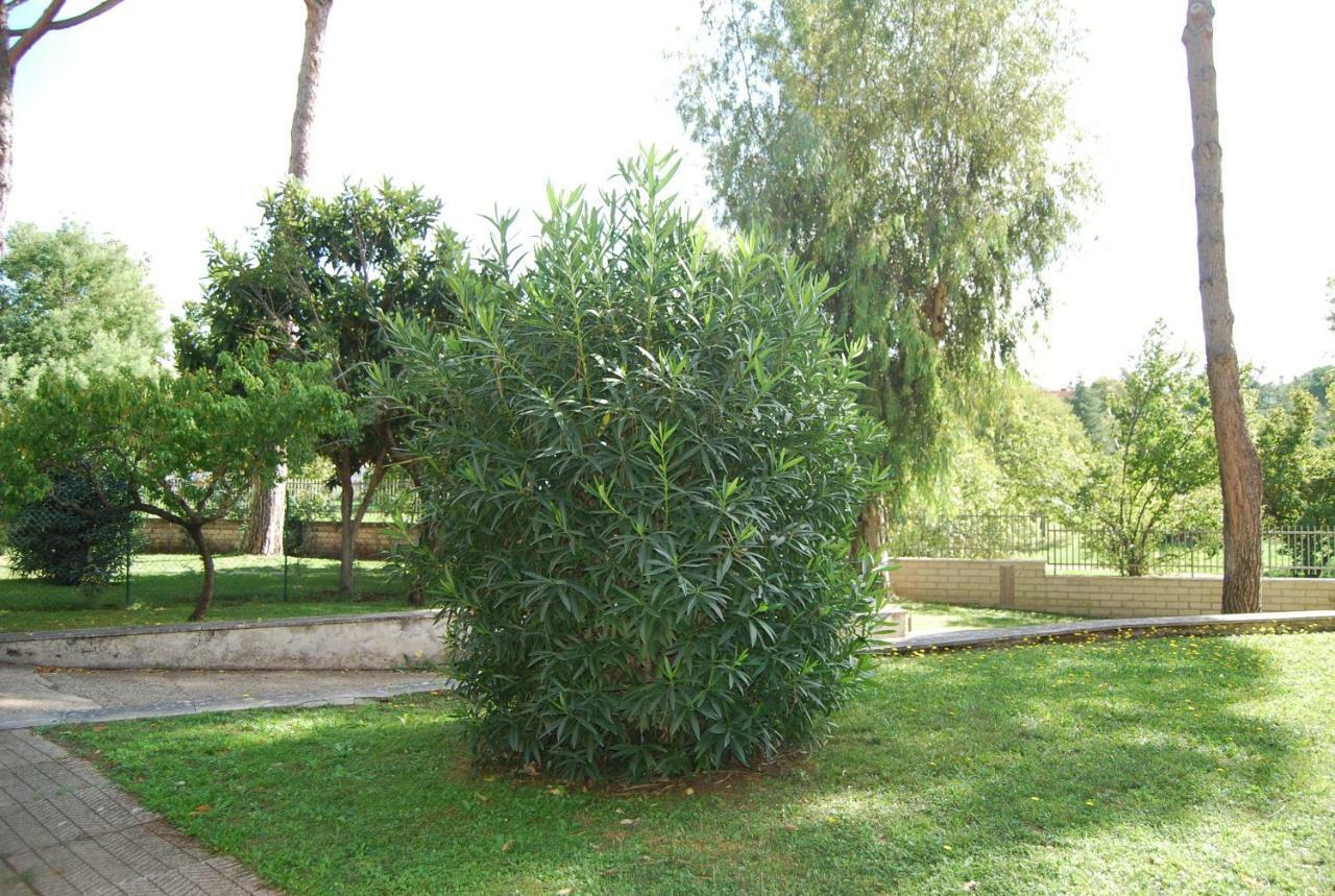 Roma Eur Bed & Breakfast Exterior foto